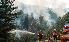 Linea Antincendio